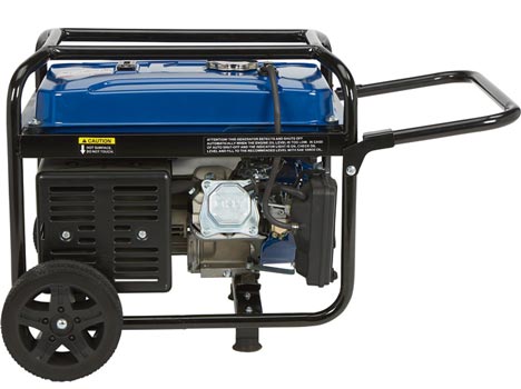 Powerhorse 750138 Portable Generator 4000 Surge Watts 3100 Rated Watts