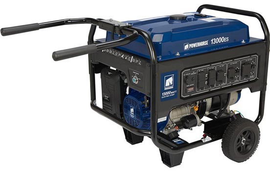 Powerhorse 799215 Portable Generator 13000 Surge Watts 10000 Rated ...