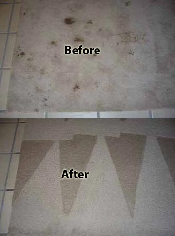 dry cleaning carpet cleaning comparison