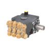 AR Pump RCM04.10N Pump: 1GPM 1450RPM 24MM Solid Shaft