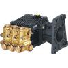 AR Pump RKV4G30ADF24C2I Pump: 4/3000 with 20400 Unloader